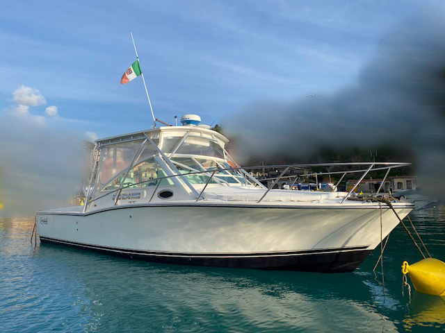 <<< VENDUTA >>> CAROLINA 28 CLASSIC + 2X260 HP VOLVO PENTA<br><a href=dettaglio.aspx?Id=222 >VAI ALLA SCHEDA</a>